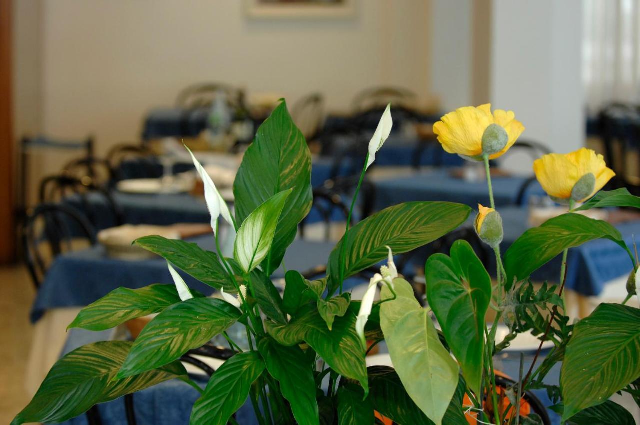 Hotel Sorriso Cattolica Exterior foto