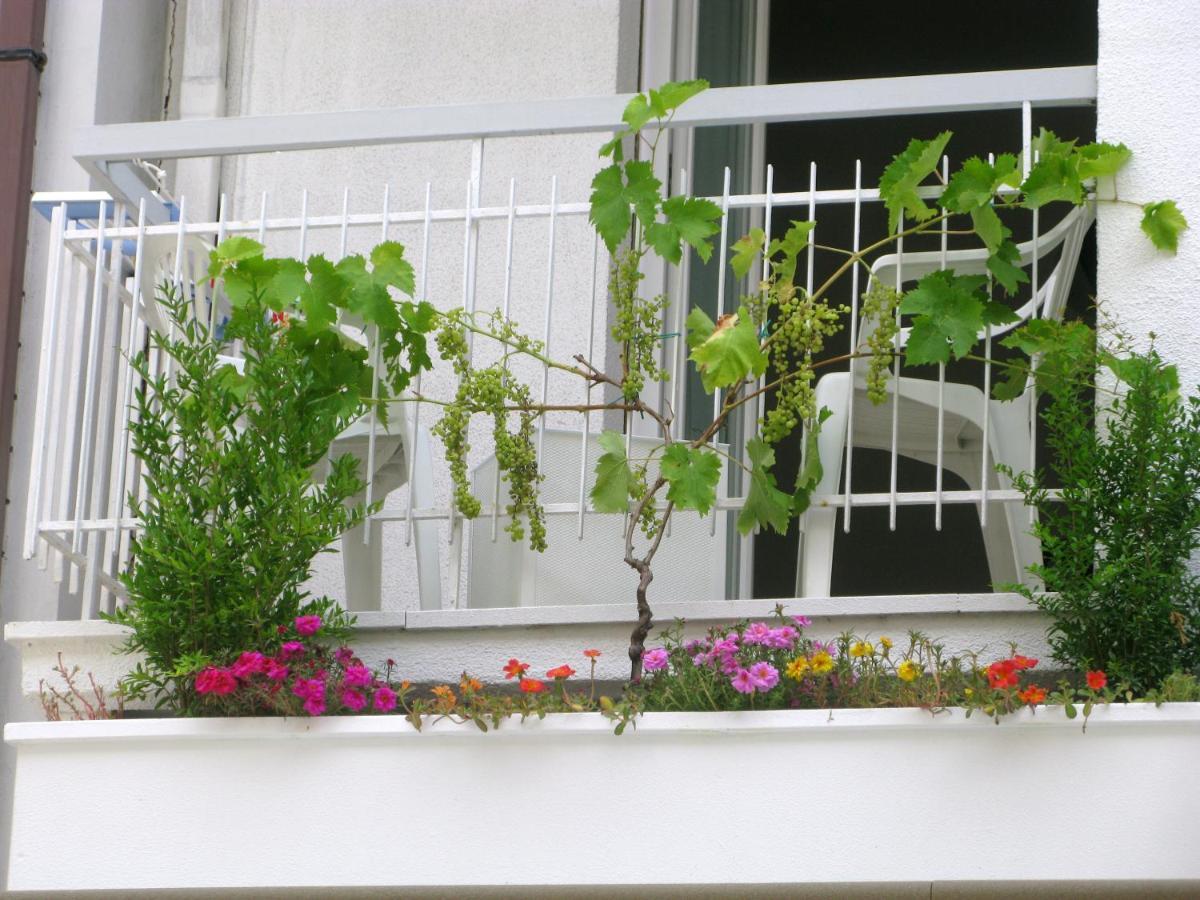 Hotel Sorriso Cattolica Exterior foto